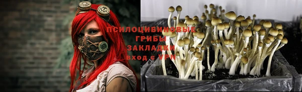 гашишное масло Кукмор