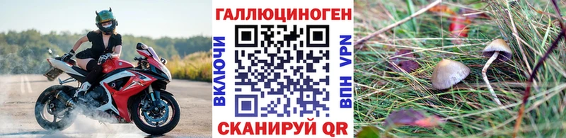 blacksprut ССЫЛКА  Донецк  Галлюциногенные грибы Psilocybe  что такое наркотик 