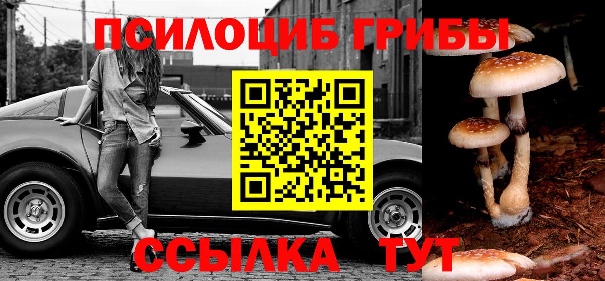 Галлюциногенные грибы Psilocybine cubensis Донецк