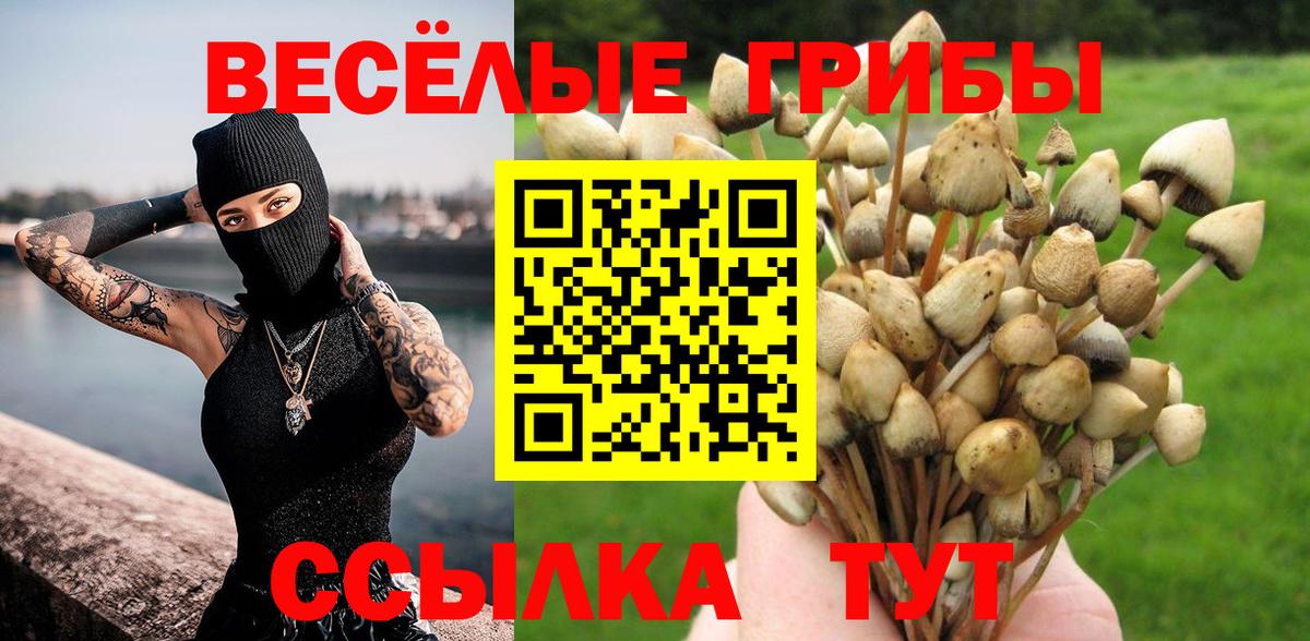 Галлюциногенные грибы Psilocybe  Галлюциногенные грибы мухоморы  Донецк  Вход с VPN 